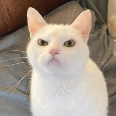 Алексей Разоренов, 18.02.1981, Омск