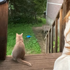 Маша Черёмушкина, 20.04