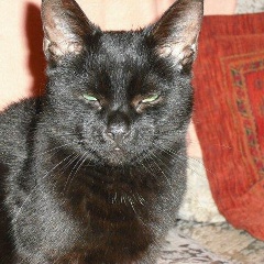 Надежда Миронова, 31.10