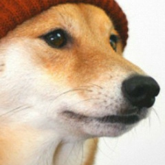 Artem Bogretc, 14.01, Санкт-Петербург