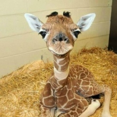 Наталья Ульянкова, Санкт-Петербург