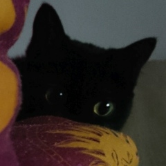 Петр Лыткин, 02.10, Якутск