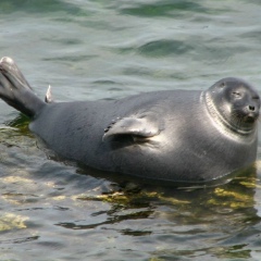 Александра Якупова, 15.07.1991, Москва