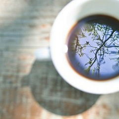 Luminița Bondarenco, 28.03.1998, Леова