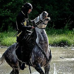 Черкес Гидеон, 15.04.1991