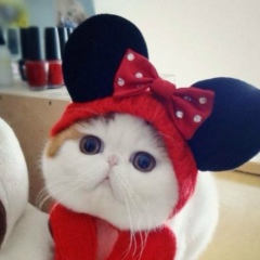 Маргарита Любимова, 16.10, Луганск