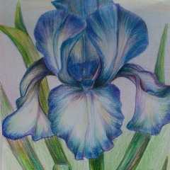 Ильвира Вагапова, 02.12, Шингак-Куль