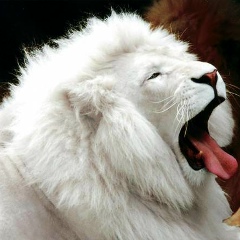 Вадим Смолкин, 31.07.1985, Екатеринбург