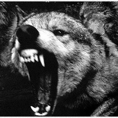 Куат Кошкинбаев, 23.01.1992, Актобе