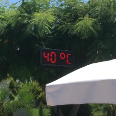 Глеб Григорьев, 31.07, Санкт-Петербург