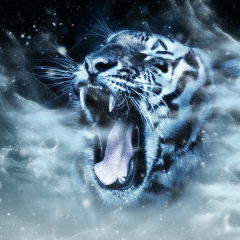 Максим Шувалов, 30.01.1981