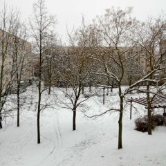 Дмитрий Белогорцев, 11.04.1986, Шу