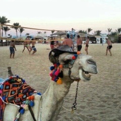 Дмитрий Валиулин, 30.09, Мурманск