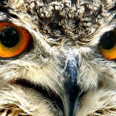 Татьяна Зимина, 22.04, Дзержинск