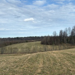 Айша Кутыева, 18.11.1952, Санкт-Петербург