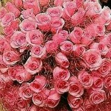 Умида Мурзаева, 24.06.1985, Москва