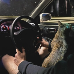 Helix Gauss, 31.01.1923