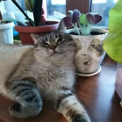 Лена Краснова, 23.09.1984, Казань