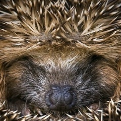 Александр Масленников, 16.02.1986, Белгород