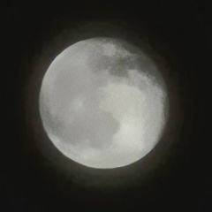 Артур Постников, 15.03.1985, Иркутск