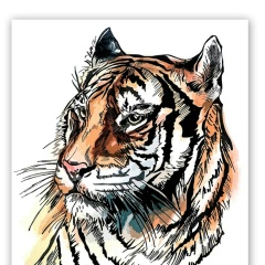 Виктор Филиппов, 20.03.1974