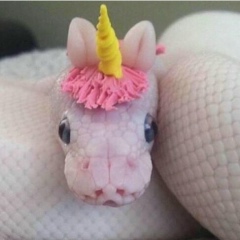 Анна Коберская, 25.03.1983, Киев