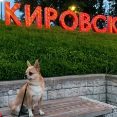 Александр Дмитриев, 22.08.1978, Кировск