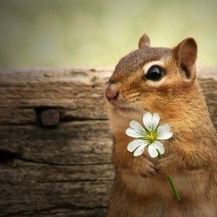 Аминка Ларина, 01.03