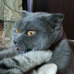 Натали Левицкая, 22.02, Актобе