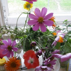 Нурия Насимова, 27.06.1954, Санкт-Петербург