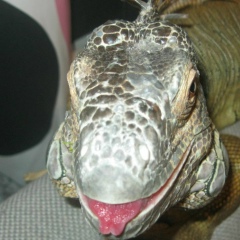 Владислав Кирьянов, 14.07.1967, Москва