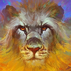 Александр Куксин, 03.10.1980, Санкт-Петербург