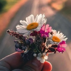 Аленка Жуковец, 03.05, Мозырь