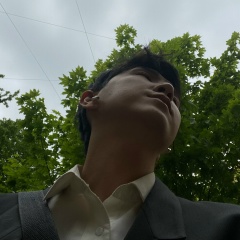 Максим Термопод, 21.04, Strasbourg