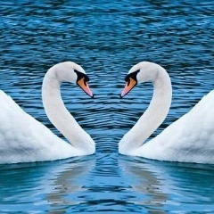 Фатима Кадзокова