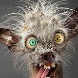 Егор Константинов, 22.01.1989, Москва