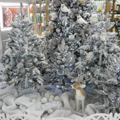 Анна Чинарева, Николаев