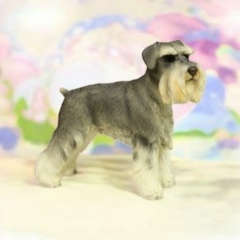 Юлия Назарова, 25.11.1981, Самара