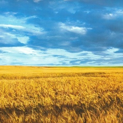 Катерина Донец, 07.08, Киев