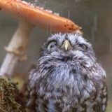 Александра Зыкова, 13.09, Москва