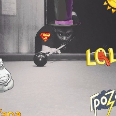 Сырым Мырзаханов, 05.01, Алматы