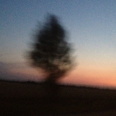 Анна Папуш, 02.11, Москва