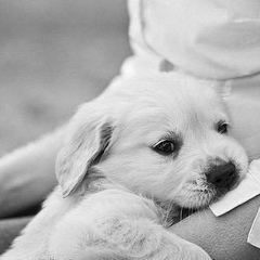 Екатерина Сибирева, Екатеринбург