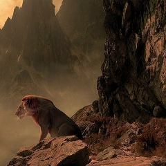 Khnvsk R, 22.08.1902, Москва