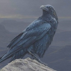 Максим Михайлов, 11.08.1981, Новосибирск