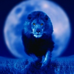 Yusupov G'ayrat, 03.03, Москва