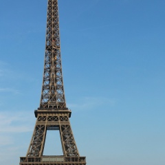 Александр Борзов, 26.06, Dresden