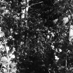 Арсений Махнов, 11.01.1992, Санкт-Петербург