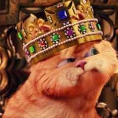 Анастасия Булгакова, 25.07, Санкт-Петербург