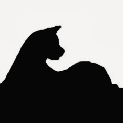 Samar Adam, 20.02, Bonn